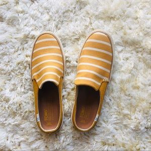 TOMS Mustard yellow Sunflower Riviera Stripe 6M